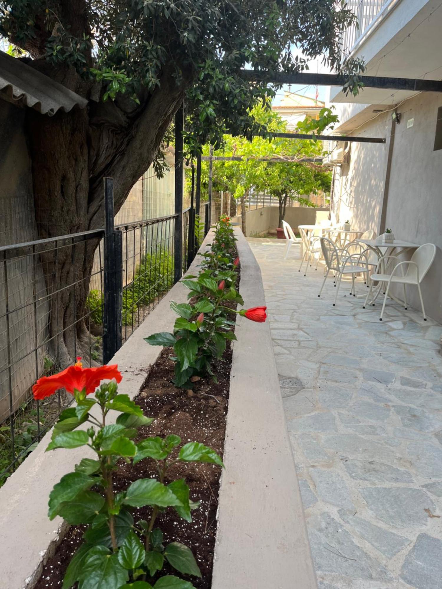 Grecian Sea Hotel Limenaria  Exterior foto
